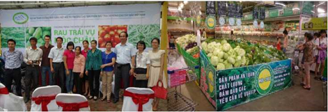 Các hoạt động tiếp thị và quảng bá rau an toàn Mộc Châu tại Hà Nội